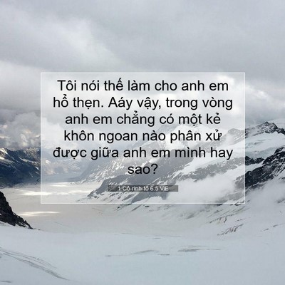 Picture 07 - 1 Cô-rinh-tô 6:5 VIE - Tôi nói thế làm cho anh em hổ thẹn. Aáy - Bible Verse Picture