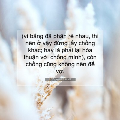 Picture 07 - 1 Cô-rinh-tô 7:11 VIE - (ví bằng đã phân rẽ nhau, thì nên ở - Bible Verse Picture