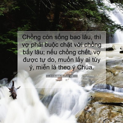 Picture 07 - 1 Cô-rinh-tô 7:39 VIE - Chồng còn sống bao lâu, thì vợ phải - Bible Verse Picture