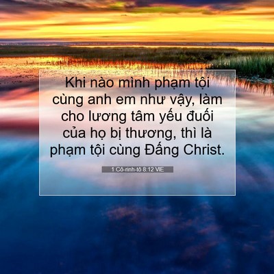Picture 07 - 1 Cô-rinh-tô 8:12 VIE - Khi nào mình phạm tội cùng anh em như - Bible Verse Picture