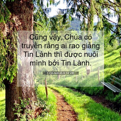 Picture 07 - 1 Cô-rinh-tô 9:14 VIE - Cũng vậy, Chúa có truyền rằng ai rao - Bible Verse Picture