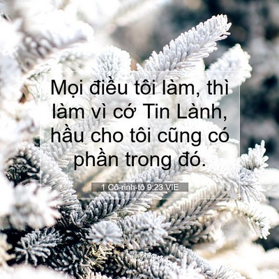 Picture 07 - 1 Cô-rinh-tô 9:23 VIE - Mọi điều tôi làm, thì làm vì cớ Tin - Bible Verse Picture