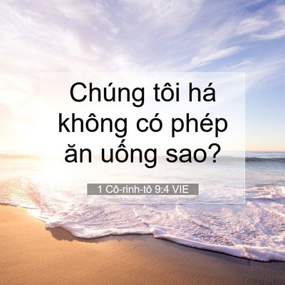 Picture 07 - 1 Cô-rinh-tô 9:4 VIE - Chúng tôi há không có phép ăn uống - Bible Verse Picture