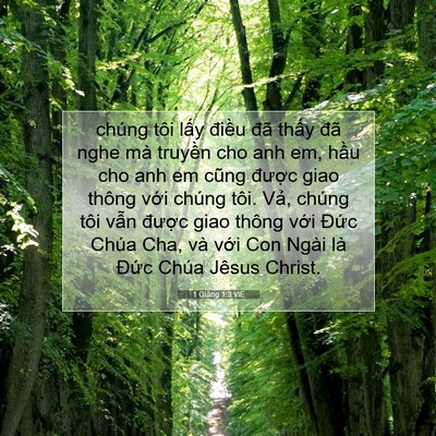 Picture 07 - 1 Giăng 1:3 VIE - chúng tôi lấy điều đã thấy đã nghe - Bible Verse Picture