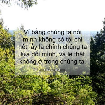 Picture 07 - 1 Giăng 1:8 VIE - Ví bằng chúng ta nói mình không có tội - Bible Verse Picture