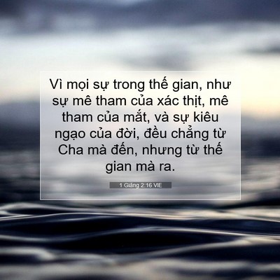 Picture 07 - 1 Giăng 2:16 VIE - Vì mọi sự trong thế gian, như sự mê - Bible Verse Picture