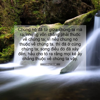 Picture 07 - 1 Giăng 2:19 VIE - Chúng nó đã từ giữa chúng ta mà ra, - Bible Verse Picture