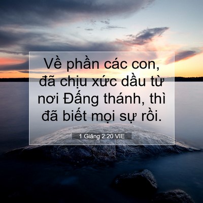 Picture 07 - 1 Giăng 2:20 VIE - Về phần các con, đã chịu xức dầu - Bible Verse Picture