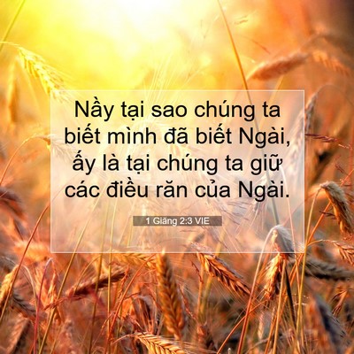 Picture 07 - 1 Giăng 2:3 VIE - Nầy tại sao chúng ta biết mình đã - Bible Verse Picture