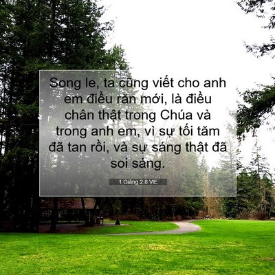 Picture 07 - 1 Giăng 2:8 VIE - Song le, ta cũng viết cho anh em điều răn - Bible Verse Picture