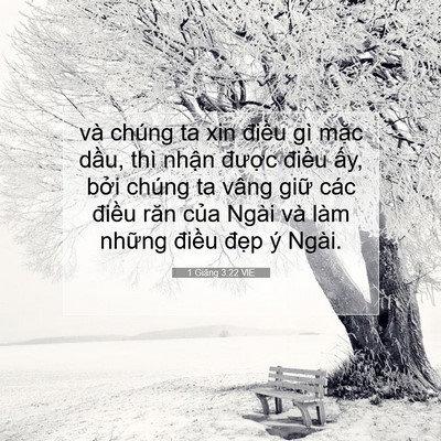 Picture 07 - 1 Giăng 3:22 VIE - và chúng ta xin điều gì mặc dầu, thì - Bible Verse Picture