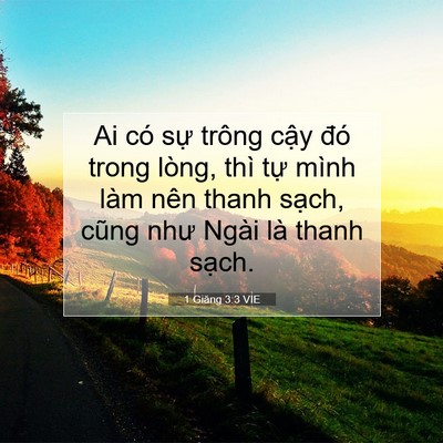 Picture 07 - 1 Giăng 3:3 VIE - Ai có sự trông cậy đó trong lòng, thì - Bible Verse Picture