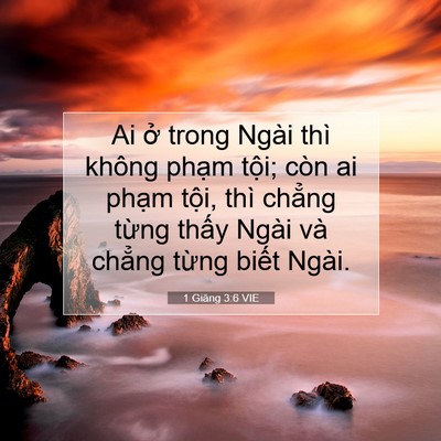 Picture 07 - 1 Giăng 3:6 VIE - Ai ở trong Ngài thì không phạm tội; còn - Bible Verse Picture
