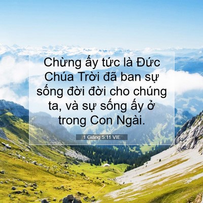 Picture 07 - 1 Giăng 5:11 VIE - Chừng ấy tức là Đức Chúa Trời đã - Bible Verse Picture