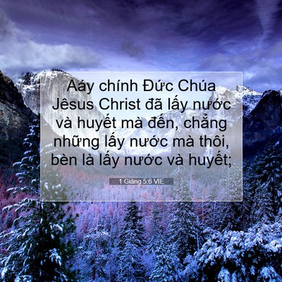 Picture 07 - 1 Giăng 5:6 VIE - Aáy chính Đức Chúa Jêsus Christ đã lấy - Bible Verse Picture