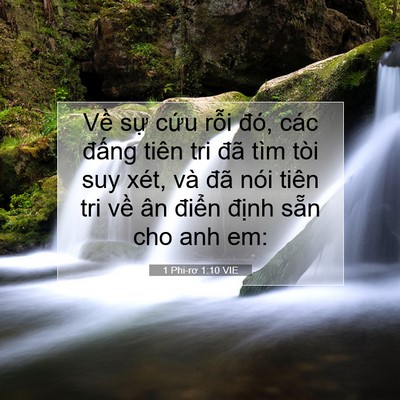 Picture 07 - 1 Phi-rơ 1:10 VIE - Về sự cứu rỗi đó, các đấng tiên - Bible Verse Picture