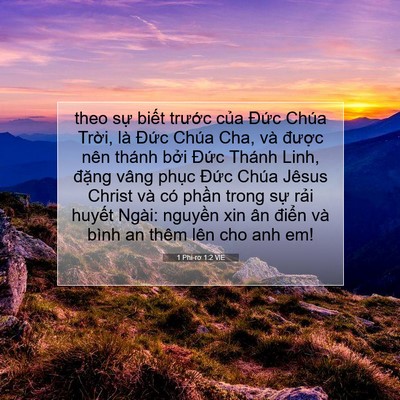 Picture 07 - 1 Phi-rơ 1:2 VIE - theo sự biết trước của Đức Chúa - Bible Verse Picture