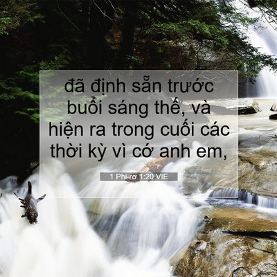 Picture 07 - 1 Phi-rơ 1:20 VIE - đã định sẵn trước buổi sáng thế, - Bible Verse Picture