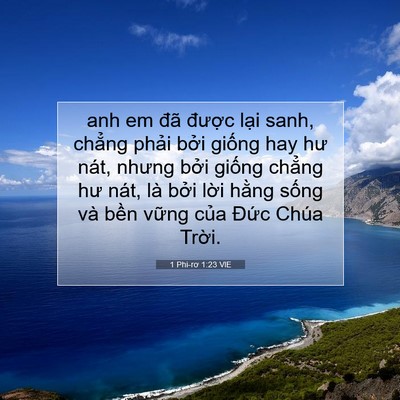 Picture 07 - 1 Phi-rơ 1:23 VIE - anh em đã được lại sanh, chẳng phải - Bible Verse Picture