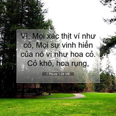 Picture 07 - 1 Phi-rơ 1:24 VIE - Vì, Mọi xác thịt ví như cỏ, Mọi sự - Bible Verse Picture