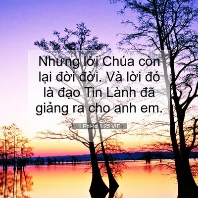 Picture 07 - 1 Phi-rơ 1:25 VIE - Nhưng lời Chúa còn lại đời đời. Và - Bible Verse Picture