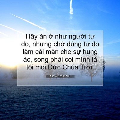 Picture 07 - 1 Phi-rơ 2:16 VIE - Hãy ăn ở như người tự do, nhưng chớ - Bible Verse Picture