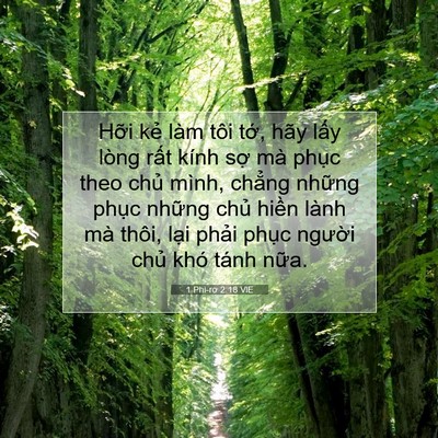 Picture 07 - 1 Phi-rơ 2:18 VIE - Hỡi kẻ làm tôi tớ, hãy lấy lòng rất - Bible Verse Picture