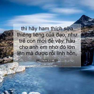 Picture 07 - 1 Phi-rơ 2:2 VIE - thì hãy ham thích sữa thiêng liêng của - Bible Verse Picture