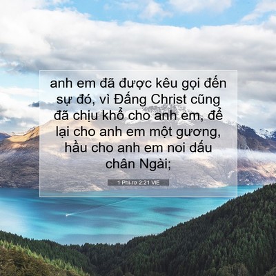Picture 07 - 1 Phi-rơ 2:21 VIE - anh em đã được kêu gọi đến sự đó, - Bible Verse Picture