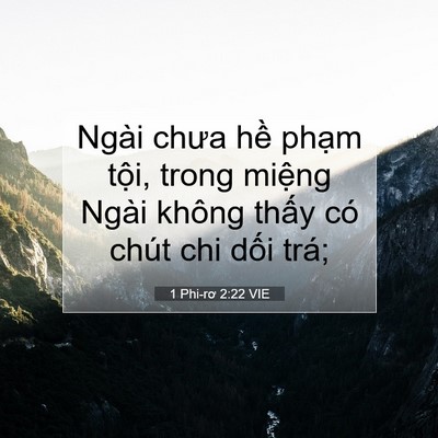 Picture 07 - 1 Phi-rơ 2:22 VIE - Ngài chưa hề phạm tội, trong miệng - Bible Verse Picture