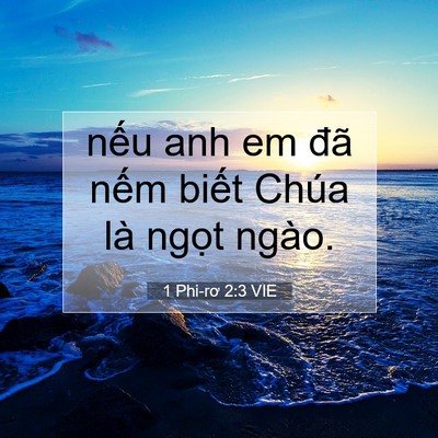 Picture 07 - 1 Phi-rơ 2:3 VIE - nếu anh em đã nếm biết Chúa là ngọt - Bible Verse Picture