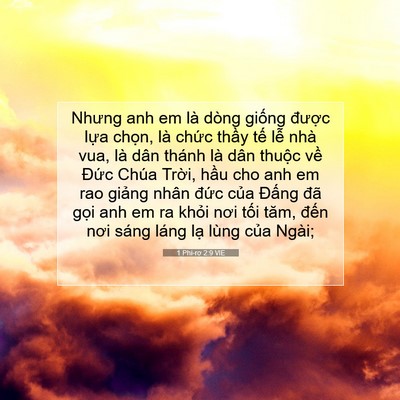Picture 07 - 1 Phi-rơ 2:9 VIE - Nhưng anh em là dòng giống được lựa - Bible Verse Picture