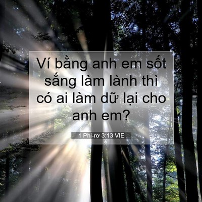 Picture 07 - 1 Phi-rơ 3:13 VIE - Ví bằng anh em sốt sắng làm lành thì - Bible Verse Picture
