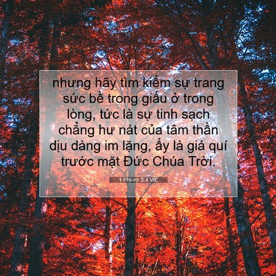 Picture 07 - 1 Phi-rơ 3:4 VIE - nhưng hãy tìm kiếm sự trang sức bề - Bible Verse Picture