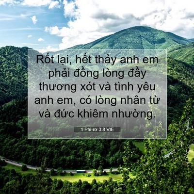 Picture 07 - 1 Phi-rơ 3:8 VIE - Rốt lại, hết thảy anh em phải đồng - Bible Verse Picture