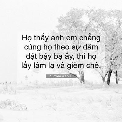 Picture 07 - 1 Phi-rơ 4:4 VIE - Họ thấy anh em chẳng cùng họ theo sự - Bible Verse Picture