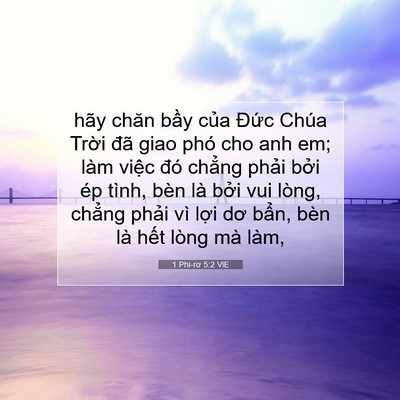 Picture 07 - 1 Phi-rơ 5:2 VIE - hãy chăn bầy của Đức Chúa Trời đã - Bible Verse Picture