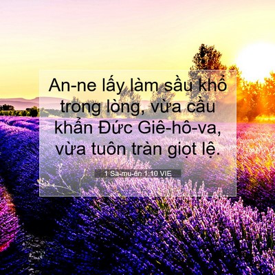 Picture 07 - 1 Sa-mu-ên 1:10 VIE - An-ne lấy làm sầu khổ trong lòng, vừa - Bible Verse Picture