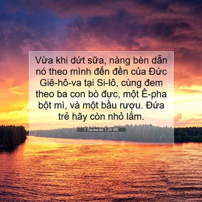 Picture 07 - 1 Sa-mu-ên 1:24 VIE - Vừa khi dứt sữa, nàng bèn dẫn nó theo - Bible Verse Picture