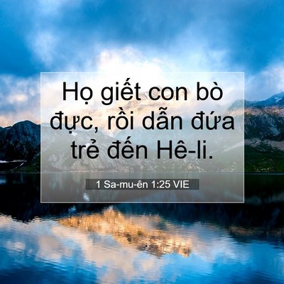 Picture 07 - 1 Sa-mu-ên 1:25 VIE - Họ giết con bò đực, rồi dẫn đứa - Bible Verse Picture