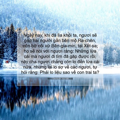 Picture 07 - 1 Sa-mu-ên 10:2 VIE - Ngày nay, khi đã lìa khỏi ta, ngươi sẽ - Bible Verse Picture