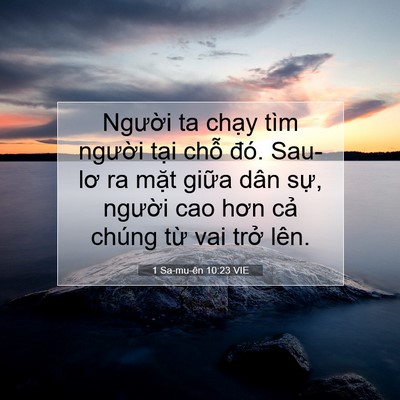 Picture 07 - 1 Sa-mu-ên 10:23 VIE - Người ta chạy tìm người tại chỗ - Bible Verse Picture