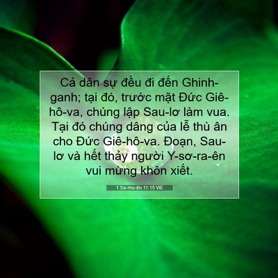 Picture 07 - 1 Sa-mu-ên 11:15 VIE - Cả dân sự đều đi đến Ghinh-ganh; - Bible Verse Picture