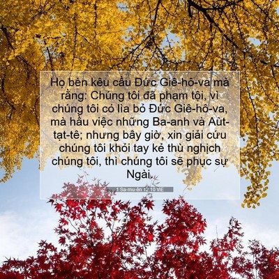Picture 07 - 1 Sa-mu-ên 12:10 VIE - Họ bèn kêu cầu Đức Giê-hô-va mà - Bible Verse Picture