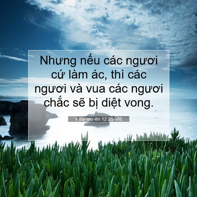 Picture 07 - 1 Sa-mu-ên 12:25 VIE - Nhưng nếu các ngươi cứ làm ác, thì - Bible Verse Picture