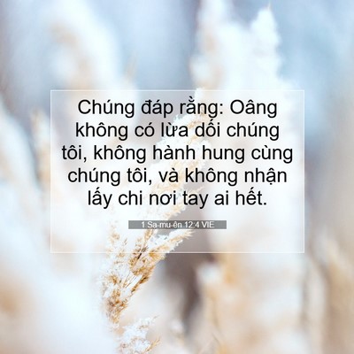Picture 07 - 1 Sa-mu-ên 12:4 VIE - Chúng đáp rằng: Oâng không có lừa dối - Bible Verse Picture
