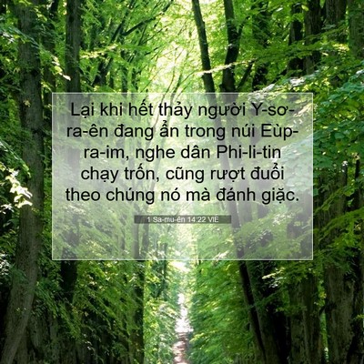 Picture 07 - 1 Sa-mu-ên 14:22 VIE - Lại khi hết thảy người Y-sơ-ra-ên - Bible Verse Picture