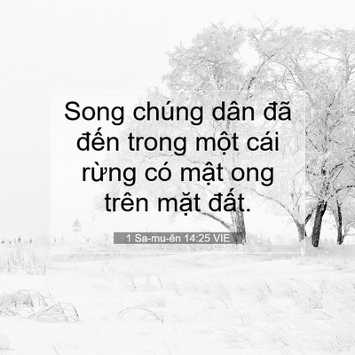 Picture 07 - 1 Sa-mu-ên 14:25 VIE - Song chúng dân đã đến trong một cái - Bible Verse Picture