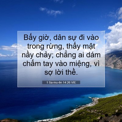 Picture 07 - 1 Sa-mu-ên 14:26 VIE - Bấy giờ, dân sự đi vào trong rừng, - Bible Verse Picture