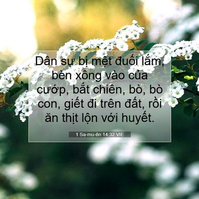 Picture 07 - 1 Sa-mu-ên 14:32 VIE - Dân sự bị mệt đuối lắm, bèn xông - Bible Verse Picture